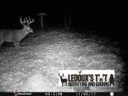 november-big-buck-hunt